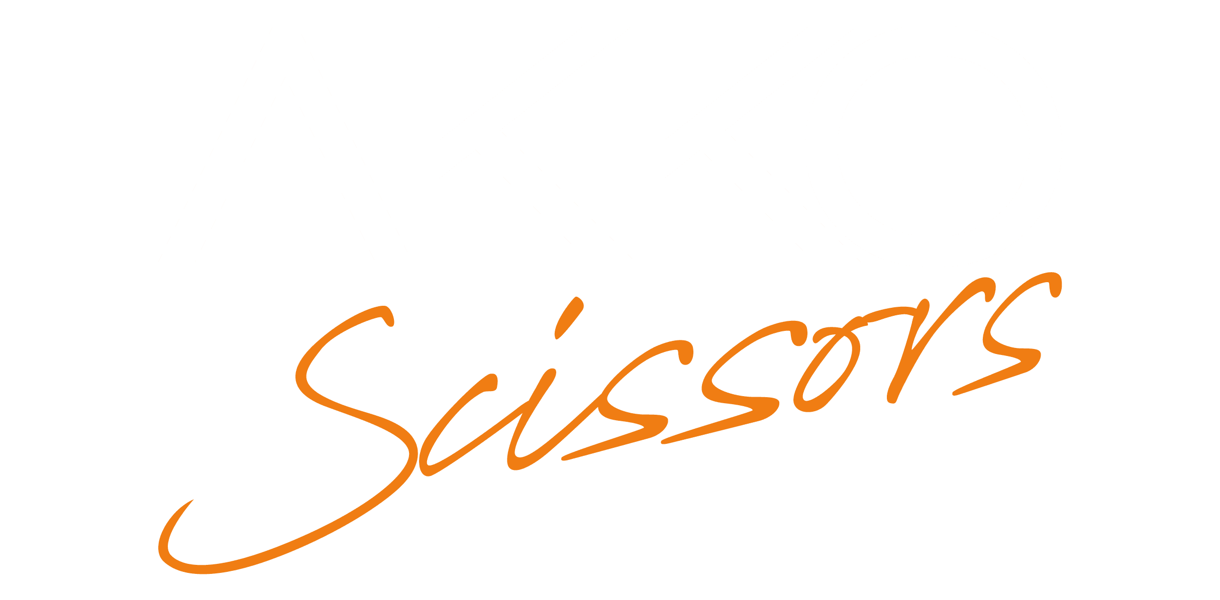 Logo Akko Scissors, by Paola Acco