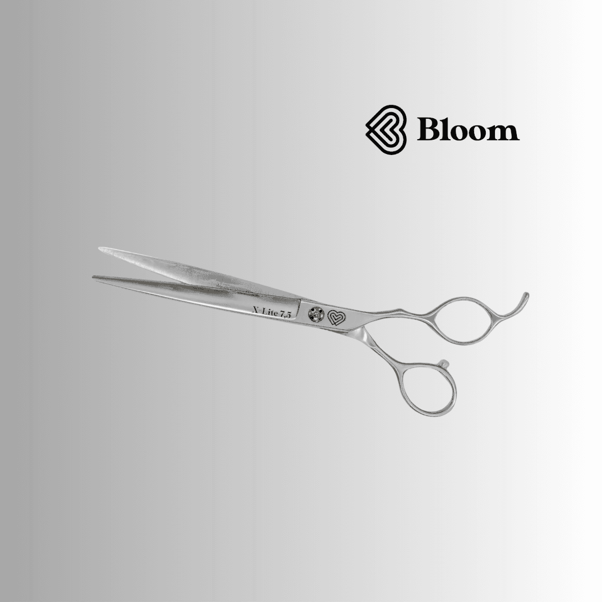 X-LITE ★ Droits 19cm