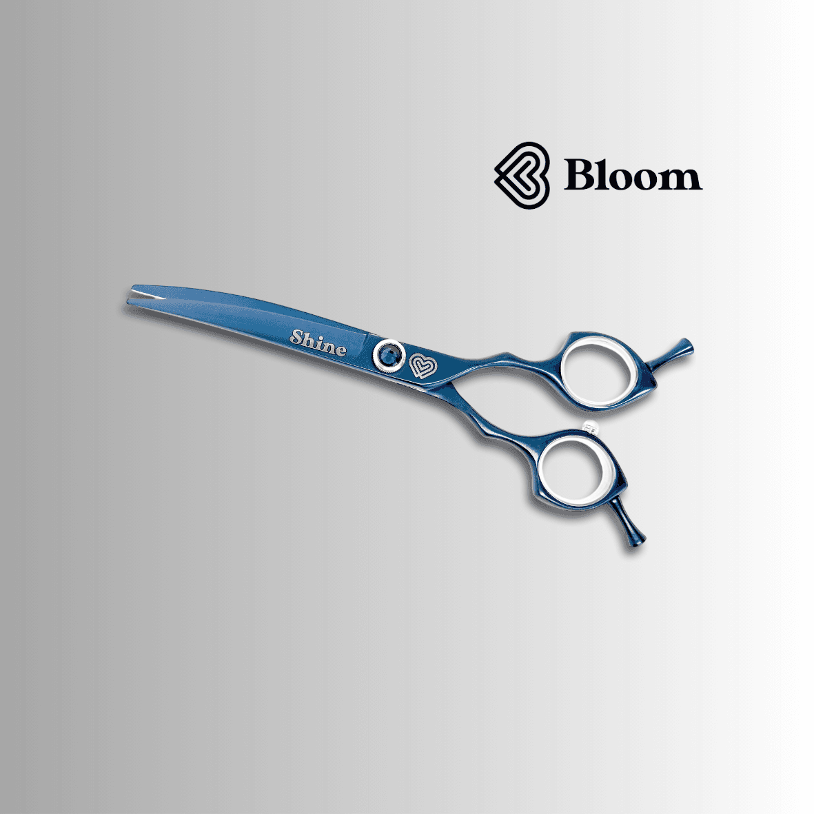 SHINE ★ Courbes pour coupes Asian 17cm 40°